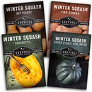 4 packs of winter squash seeds