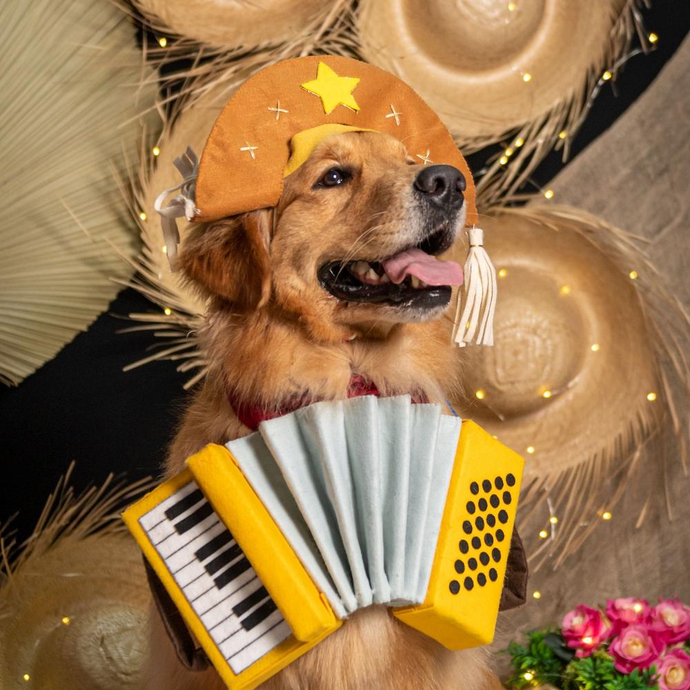 a dog sits in front of a bouquet and a musical instrument