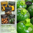 non-gmo non-hybrid heirloom squash seeds