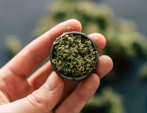 An inferior herb grinder crushing material with blunt peg teeth, illustrating the difference between crushing and the precision shredding of Prism's sharp, diamond-cut aluminum teeth.