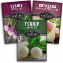 3 packets of turnip seeds
