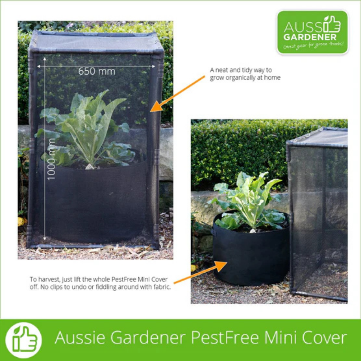PestFree Mini Cover over a fabric planter protecting a vegetable from pests.