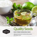 Quality non-hybrid heirloom medicinal herb seeds