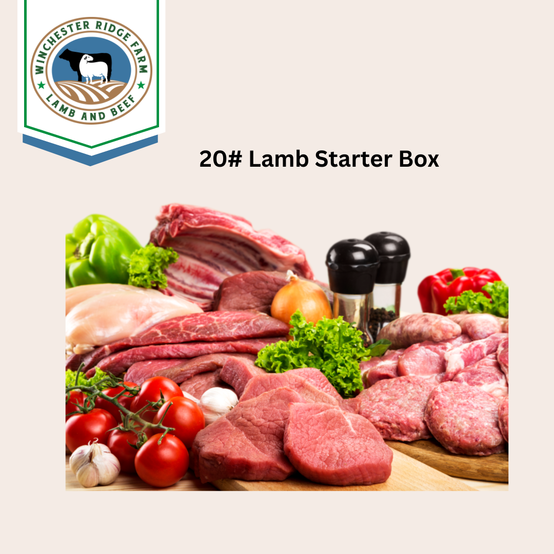 Lamb Starter Box