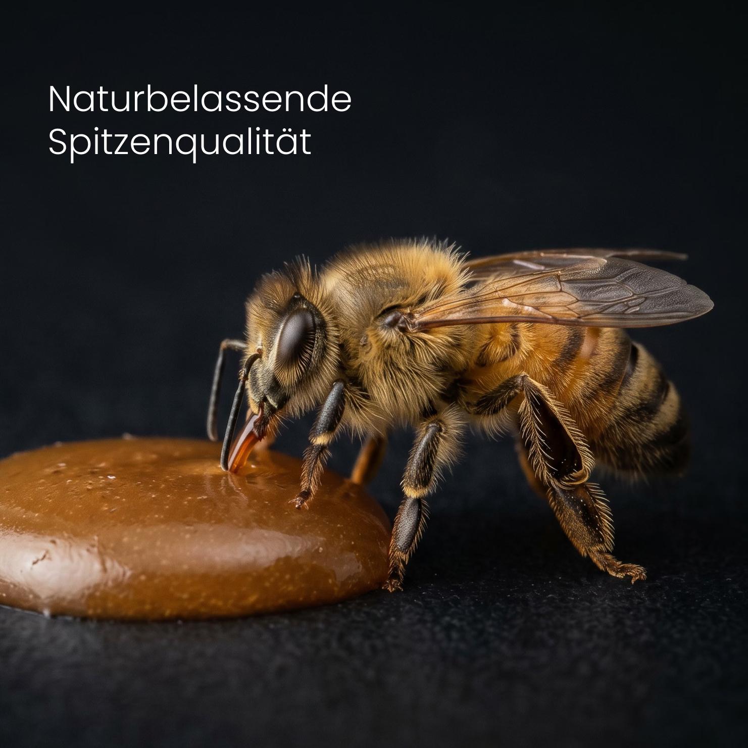 Imkerin an Bienenwabe und Honigschleuder bei der Abfüllung – schonende Produktion mit MGO 514+ Manuka-Honig