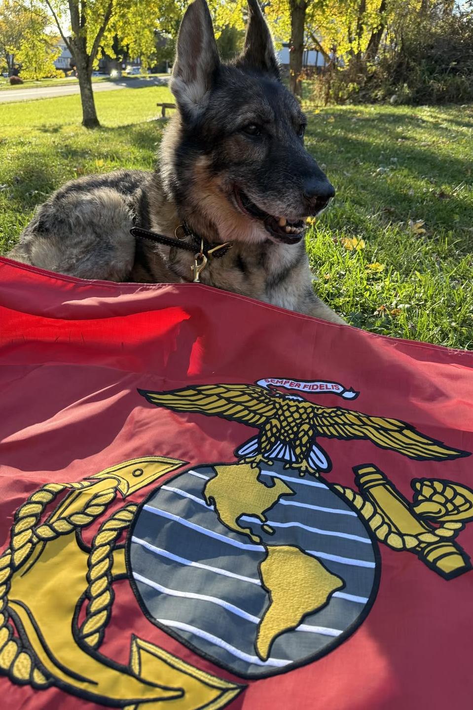 mwd corado with flag