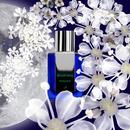 Hemlock bottle with white hemlock flowers and a full moon