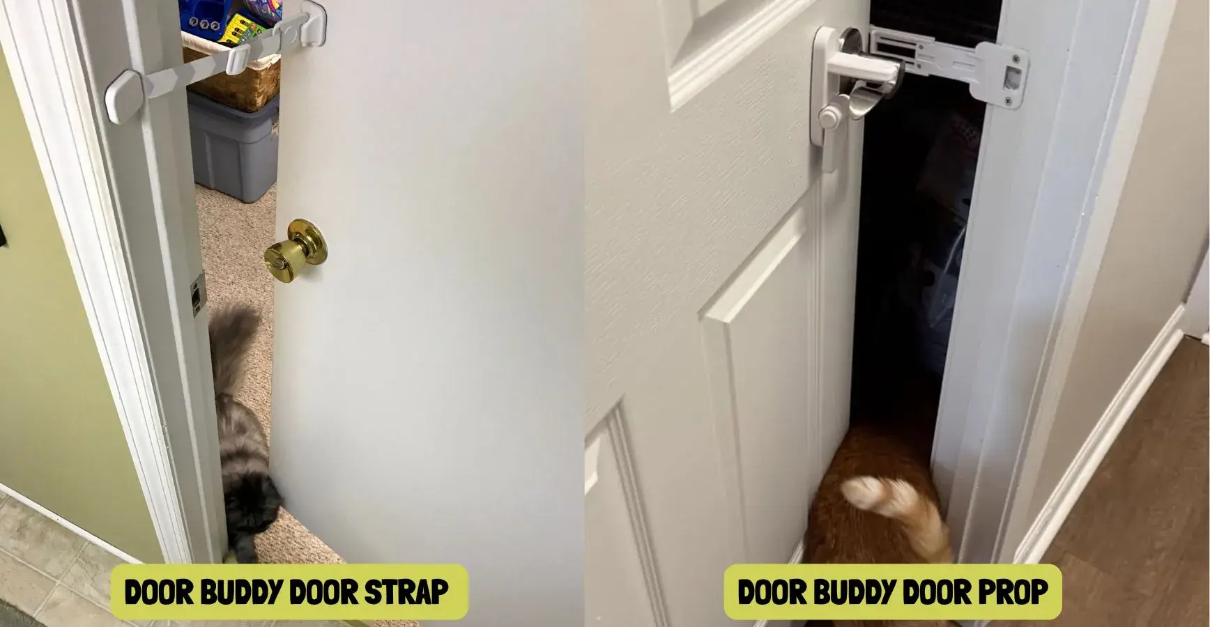Door stopper for a cat door, providing stability and security for feline access while maintaining home comfort.