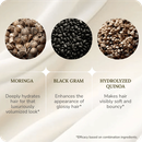 SOFT-O-MORE SHAMPOO - Ingredients - Moringa / Black gram / Hydrolyzed Quinoa