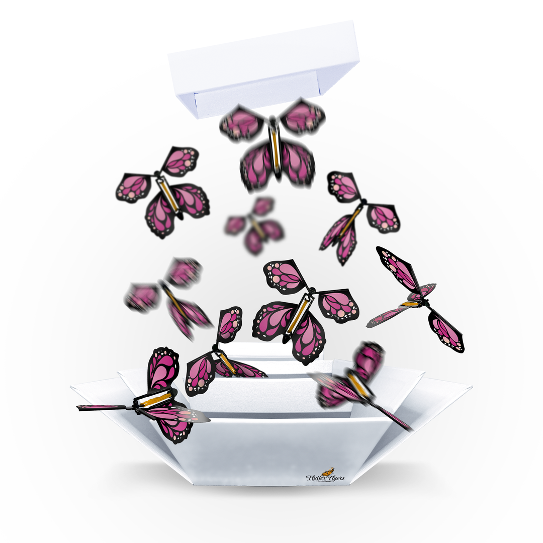 White Explosion Butterfly Box with FlutterFlyers – Flutter Flyers