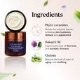 CERABUILD Face And Neck Cream key ingredients