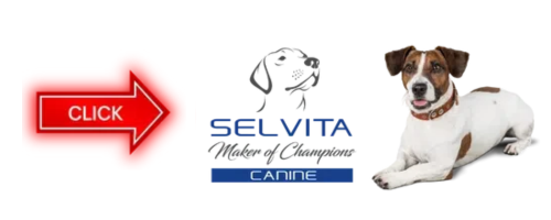 Selvita Canine Left Arrow