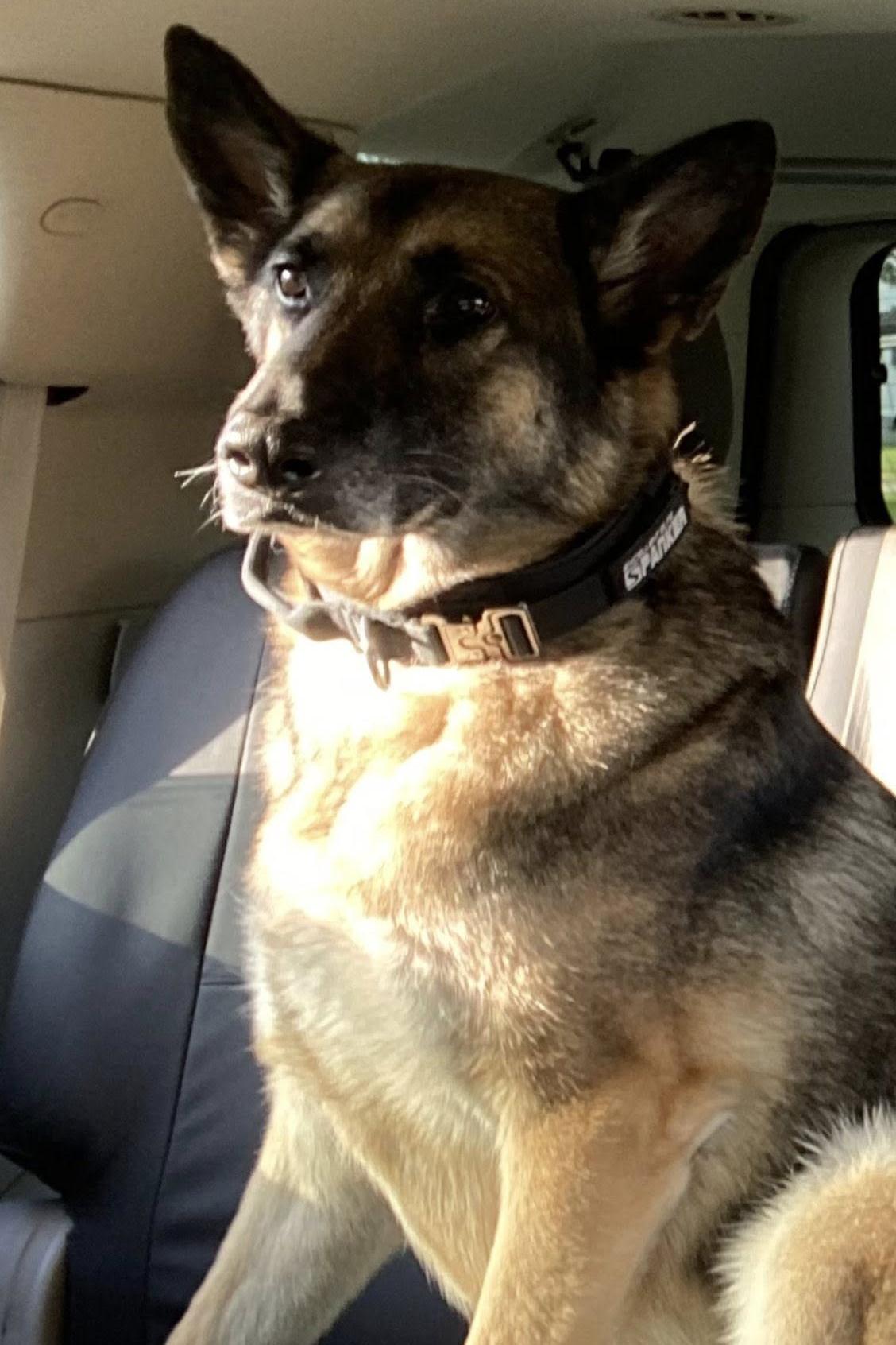 mdd roky 387 in a car