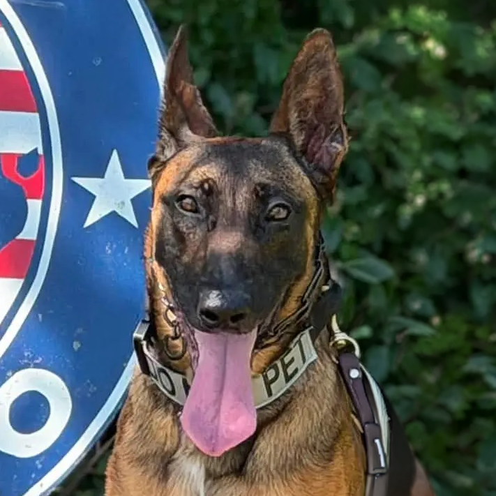 MWD Aman