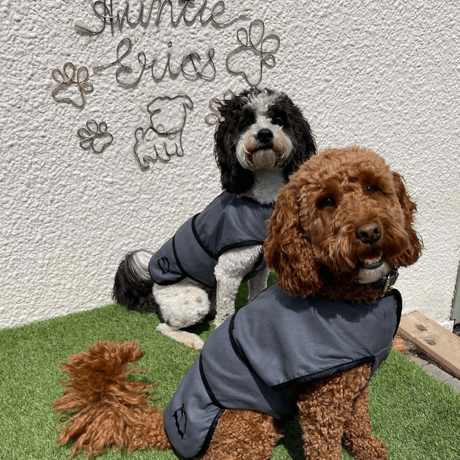 Luxury Dog Cooling Coat Pawdaw of London