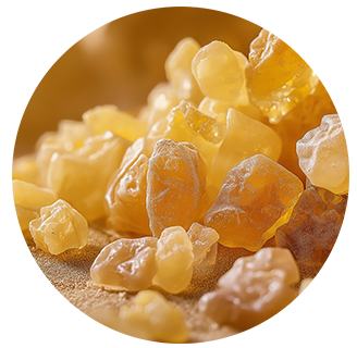 Indian Frankincense resin