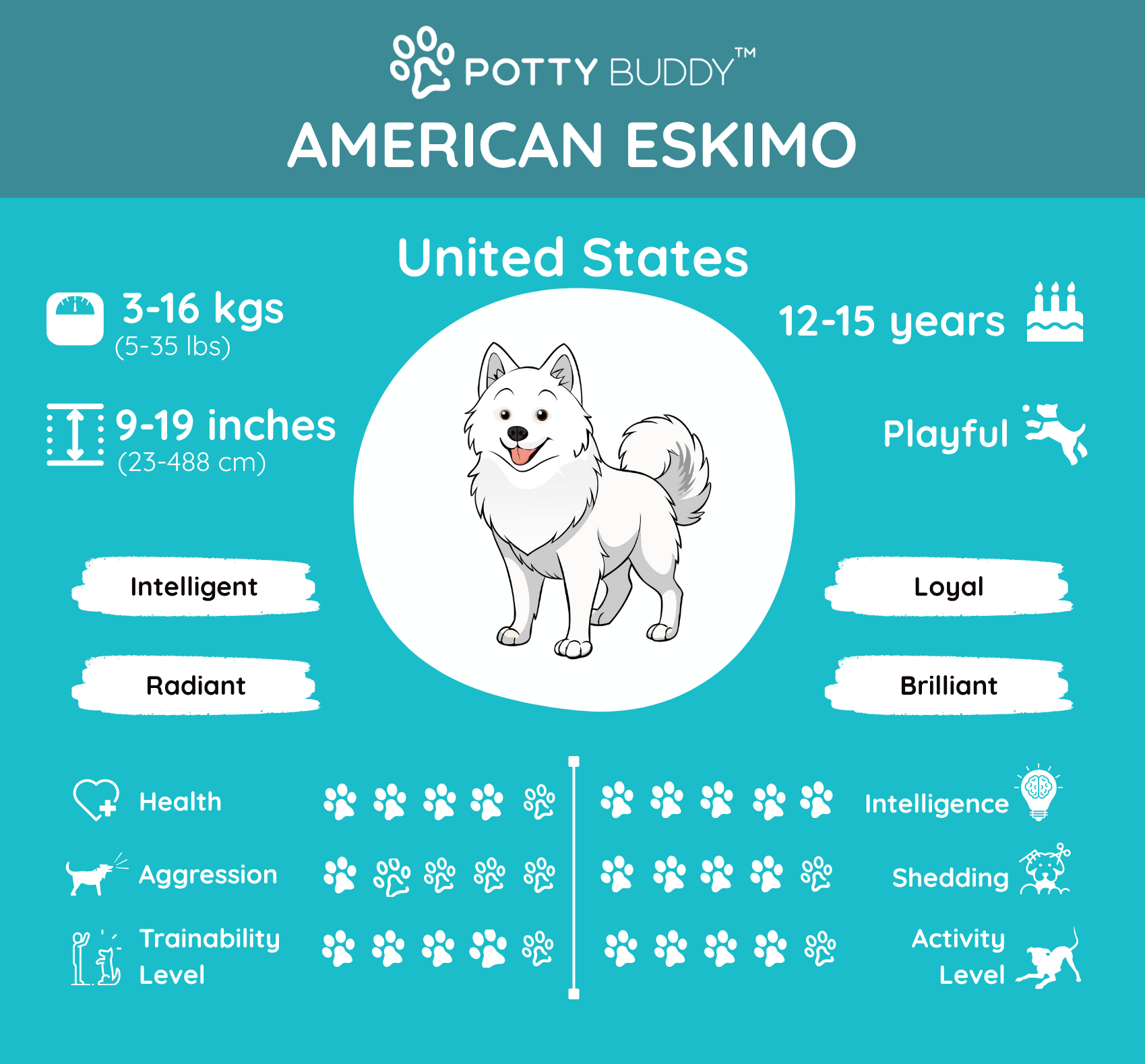 Characteristics of the Miniature Schnauzer in One Picture