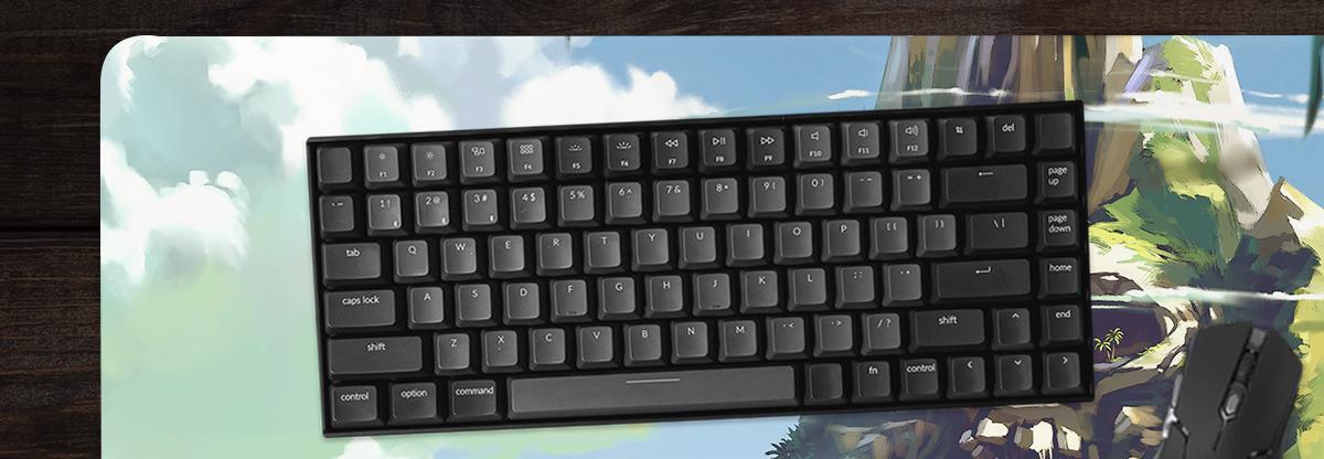 Custom XL Extended 36