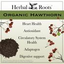 Hawthorn berries and powder with text that says Organic Hawthorn- Heart Health, Antioxidant, Circulatory System Health, Adaptogen, Digestive Support