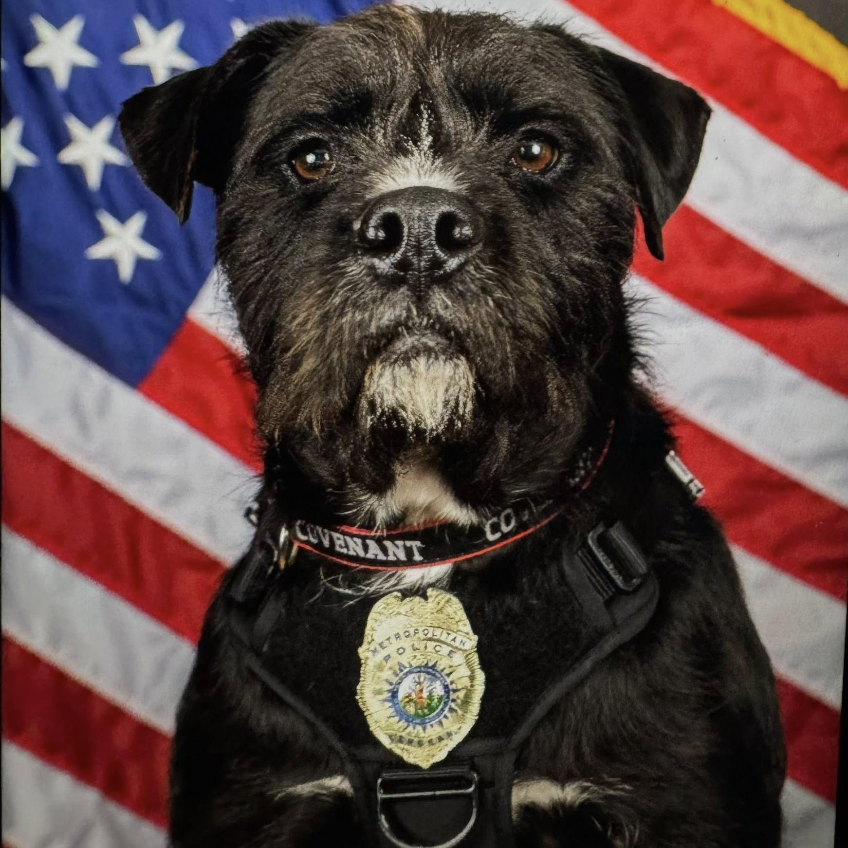 sgt bo with an american flag behind him