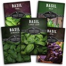 5 packets of basil seeds
