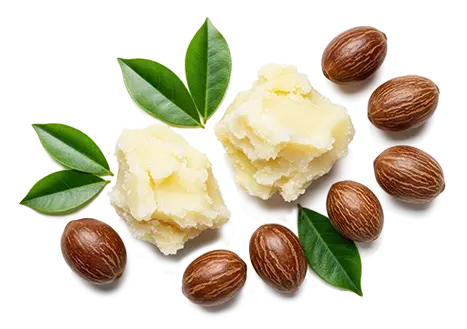 Shea Butter 