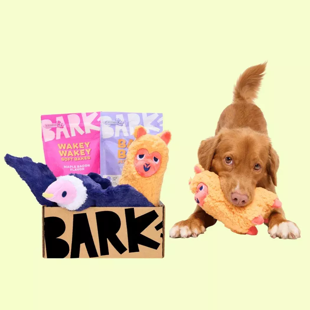 BarkBox Monthly Dog Subscription Box