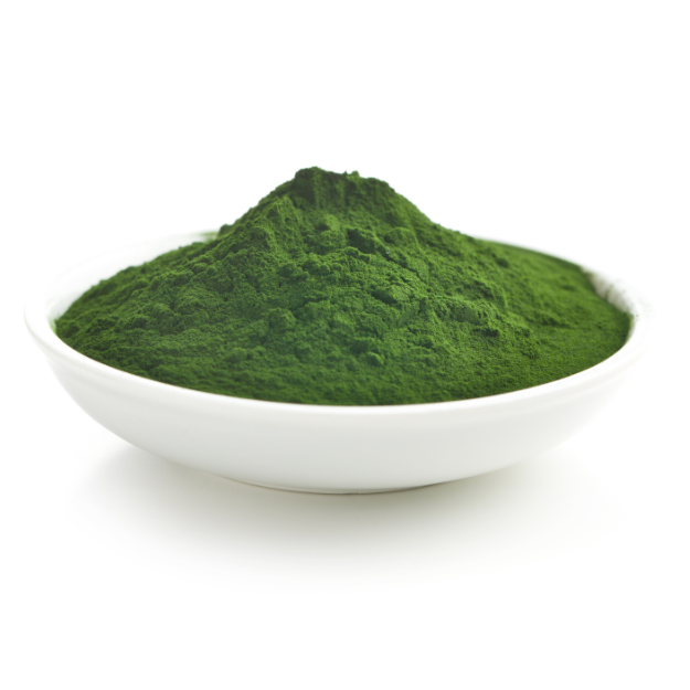 a white bowl filled to the brim with dark green powder