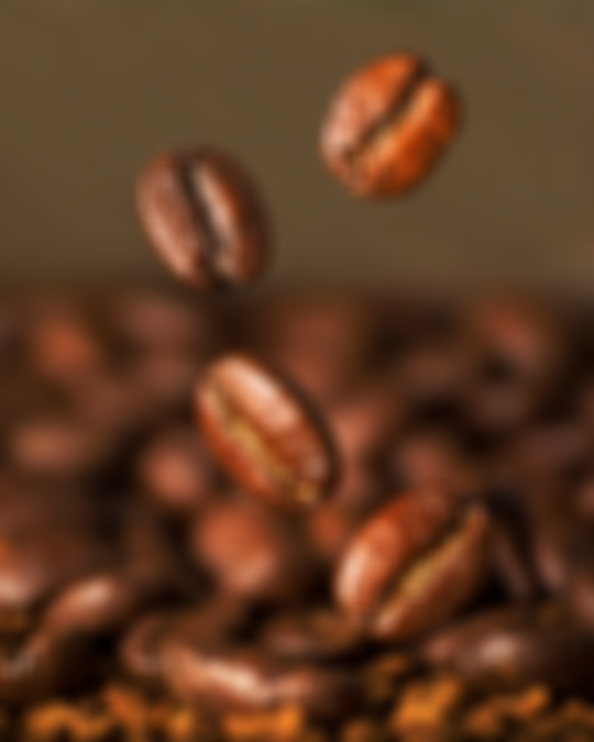 Why Do My Coffee Beans Look Wet & Oily?