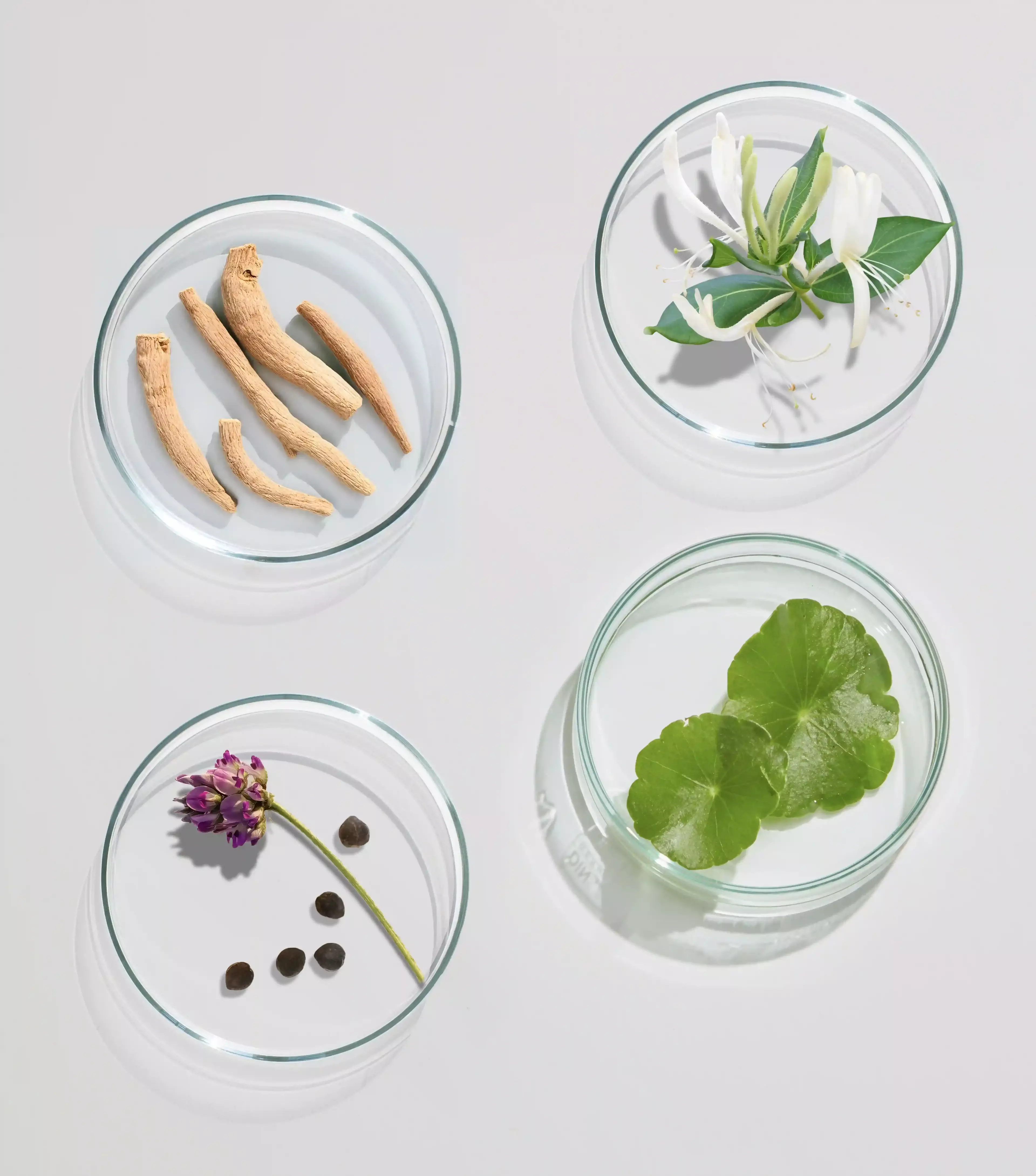 Naturally-Derived Ingredient Combination