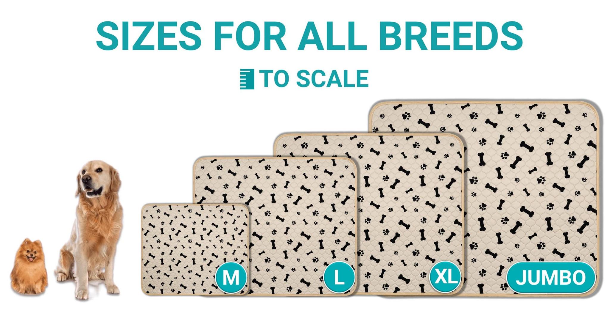 Choosing the Best Potty Pads for Your Dog The Complete Guide Potty