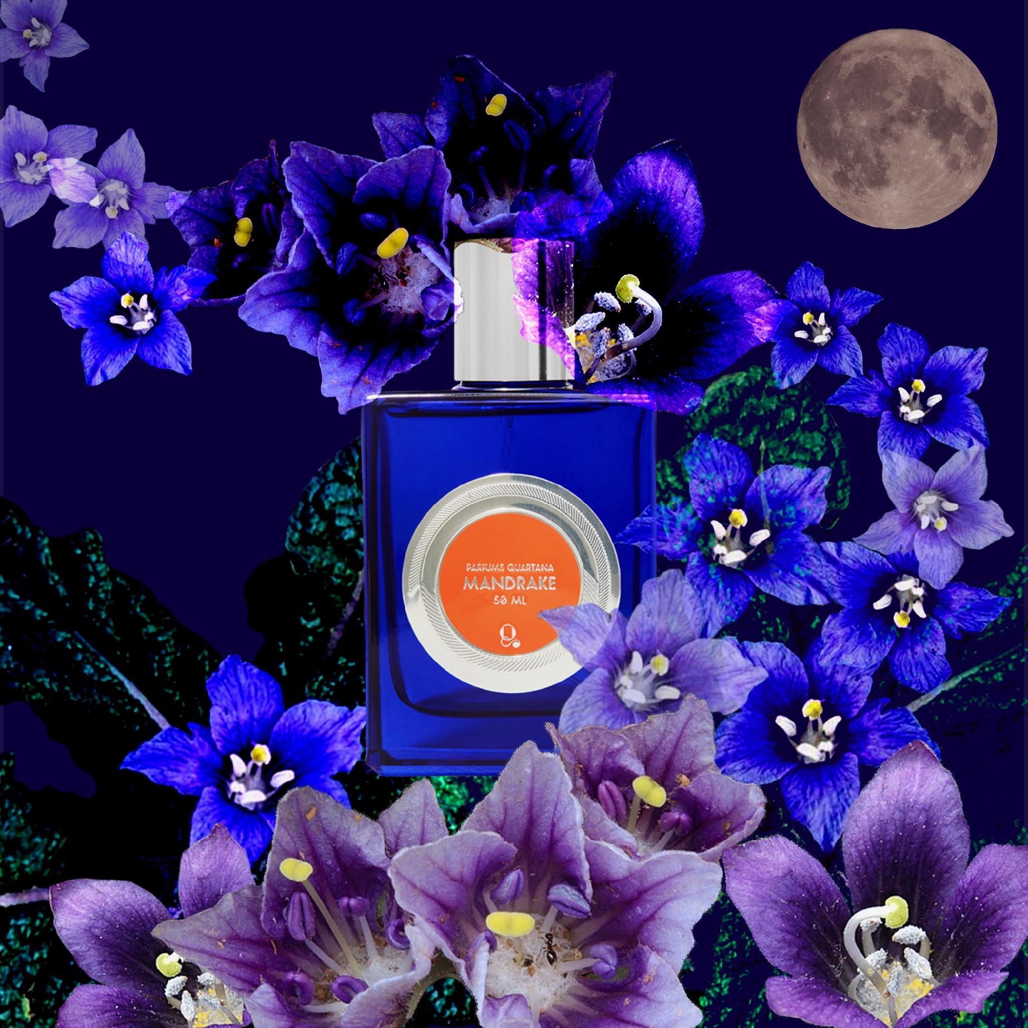 Mandrake Parfum