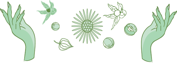 Bottom Ayurveda Illustration