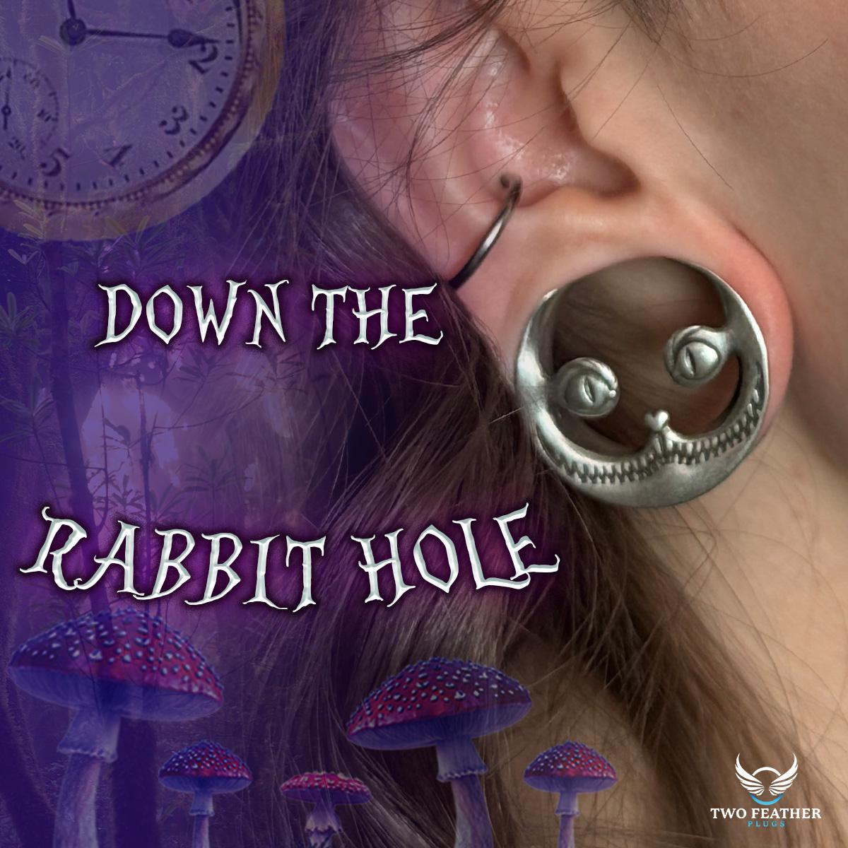 earrings plugs