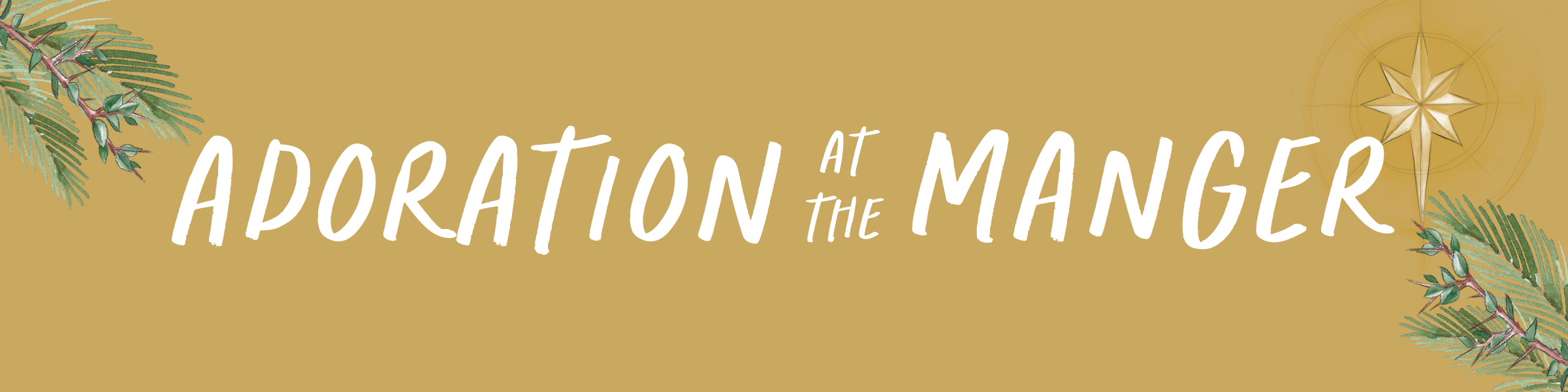 Adoration at the Manger Bible study