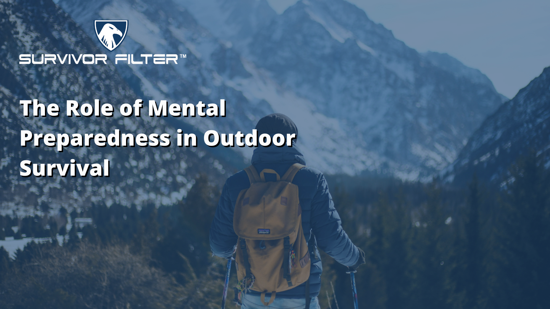 A man hiking with a backpack, facing snowy mountains