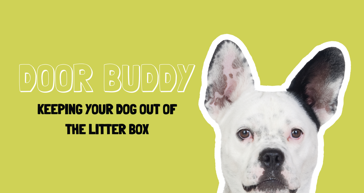 My Dog Eats Cat Poop Reduced Prices