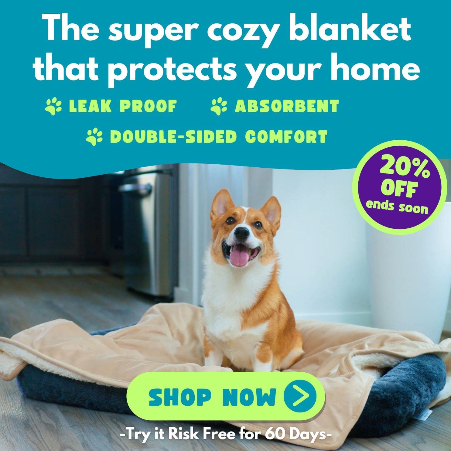 A square banner showing a corgi sitting on a blanket on the dog bed