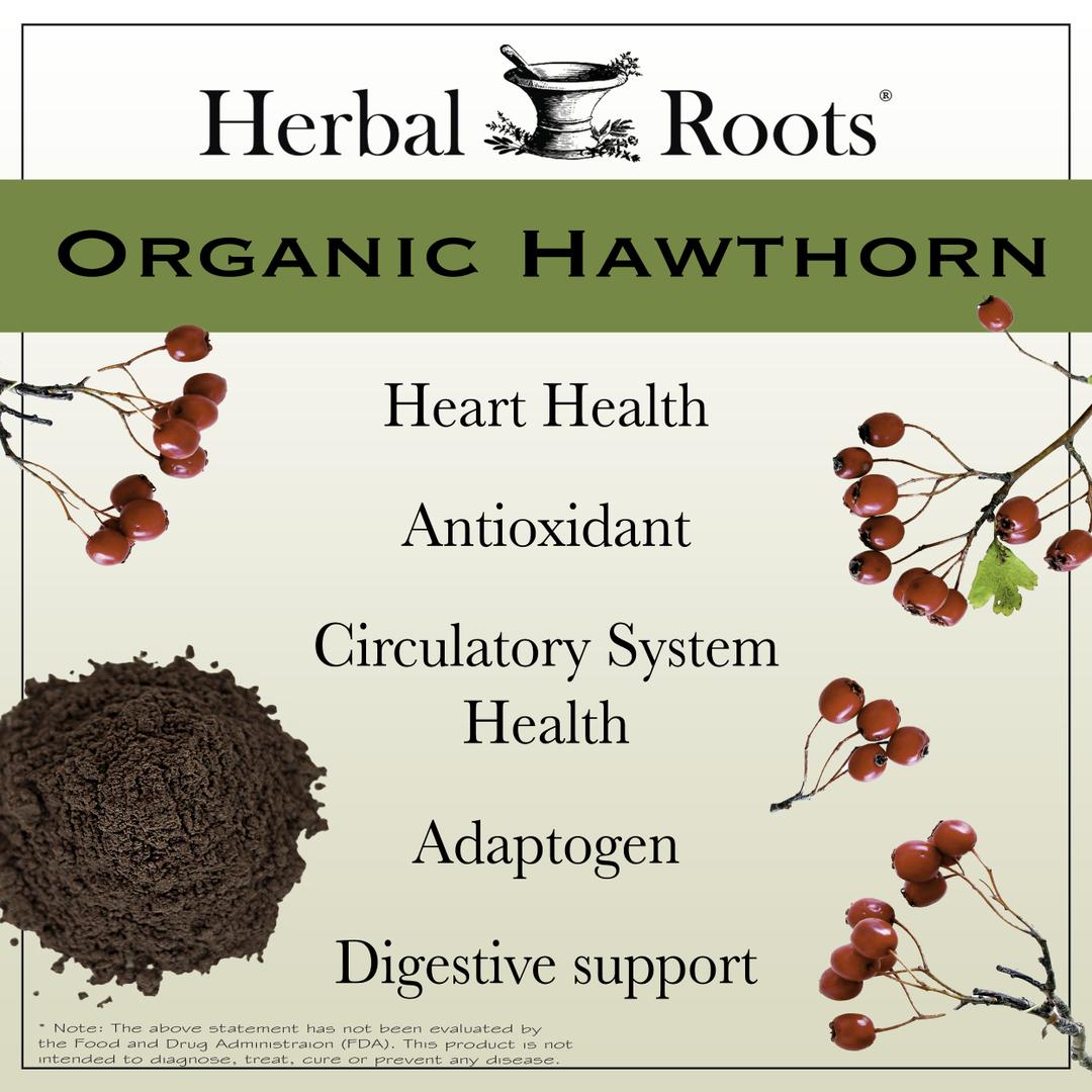 Hawthorn berries and powder with text that says Organic Hawthorn- Heart Health, Antioxidant, Circulatory System Health, Adaptogen, Digestive Support