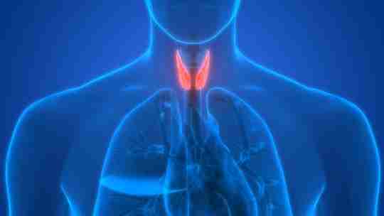 Blue Man Thyroid Glowing Red