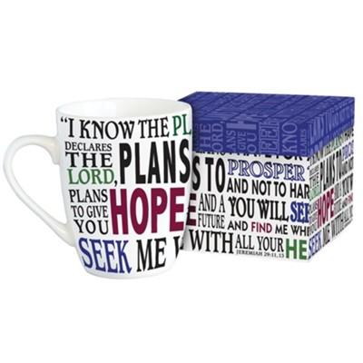 I Know the Plans mug