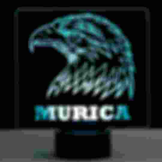 Murica LED Sign