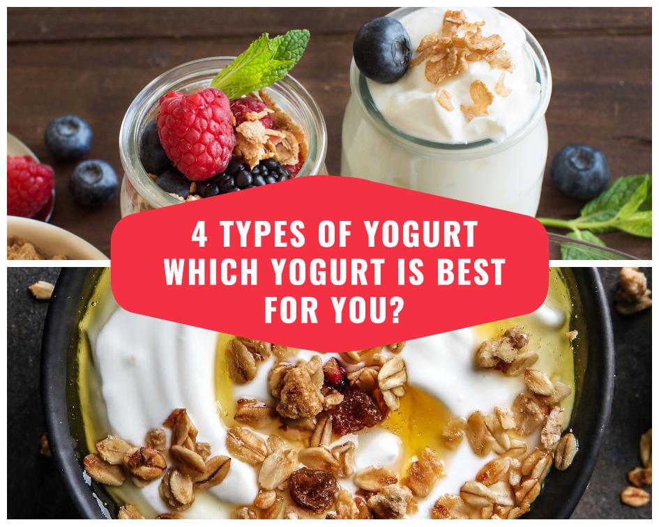 4 Types Of Yogurt Which Yogurt Is Best For You? Sports Wholesale Supply
