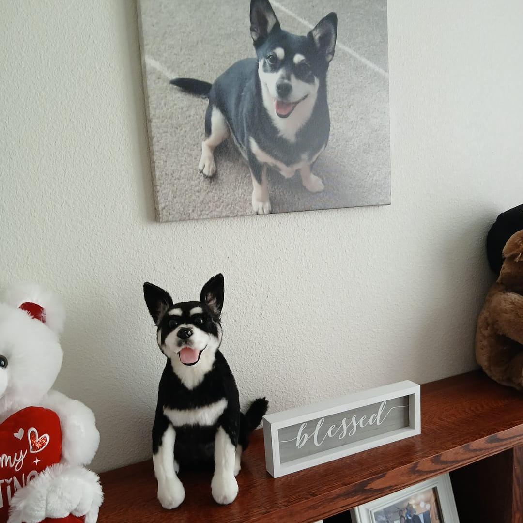 Customer showing off pet plush