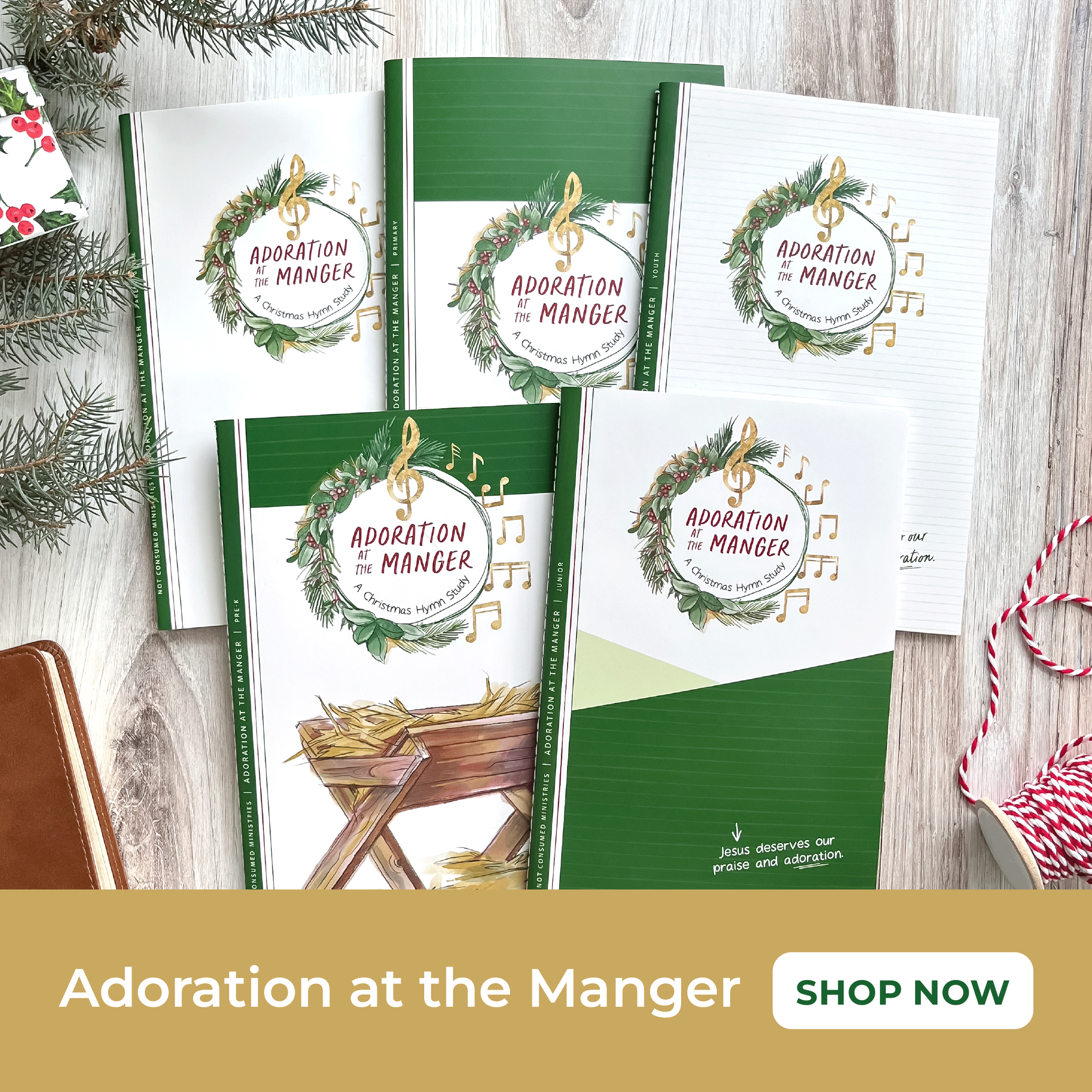 Christmas Hymn Bible study