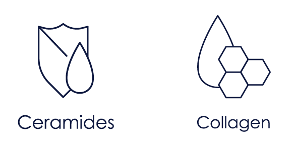 Icons of Ceramides, Collagen, elastin