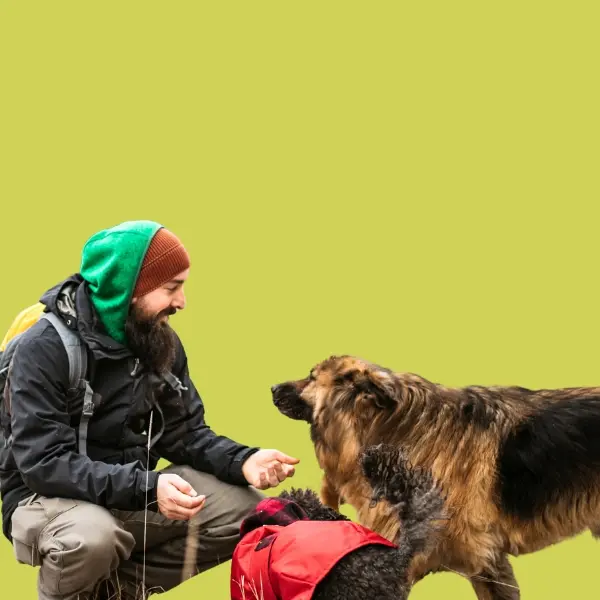 Dog-Friendly Experience Gift