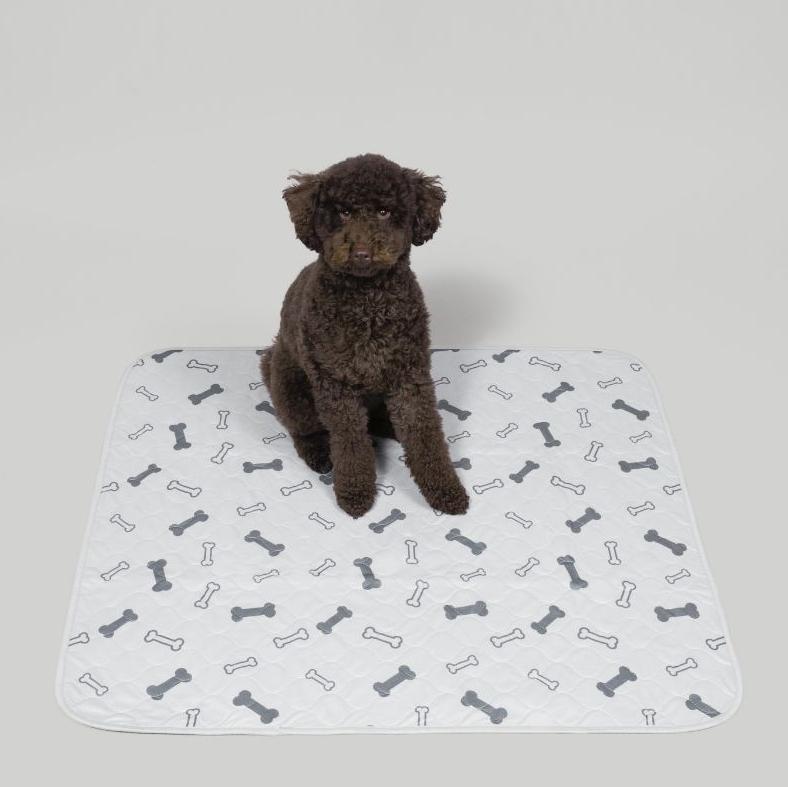 Sitting Dog