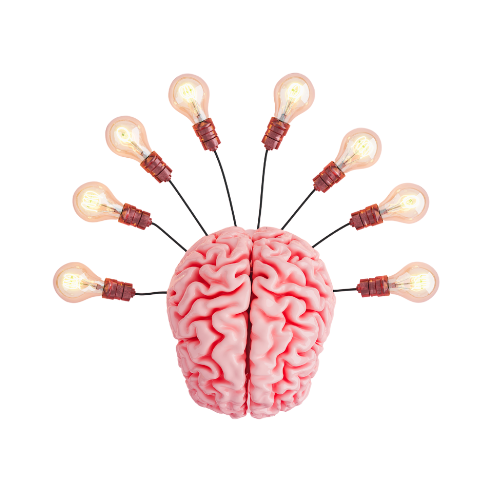 brain with 8 lightbulbs attached to it