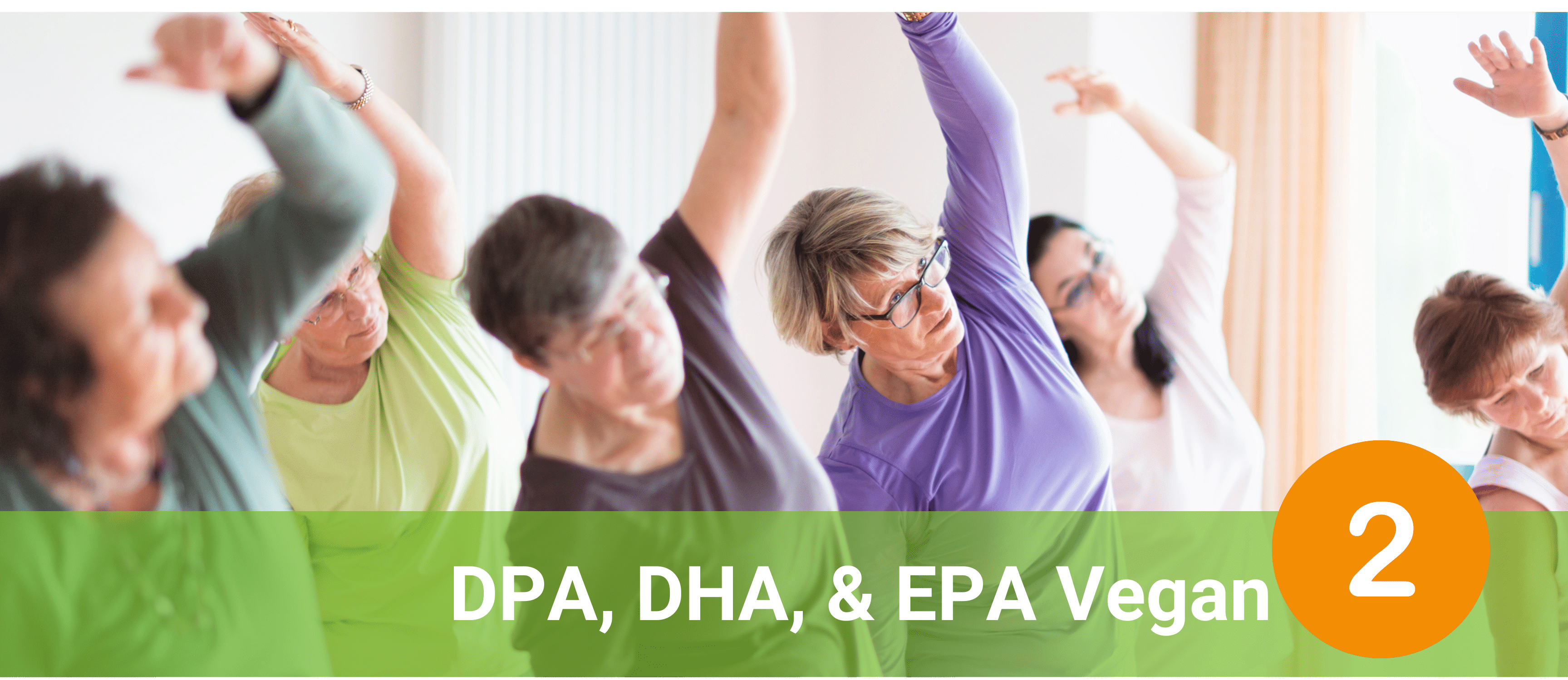 Senior women exercising and stretching together in a room